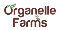 organelle